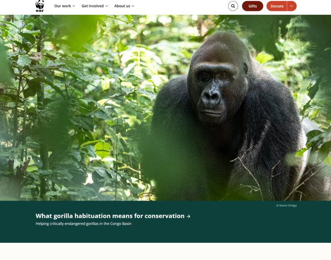 세계자연기금(WWF, World Wildlife Fund)