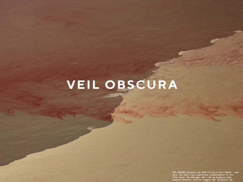 파인 아트 아카이브 프로젝트 - Veil Obscura